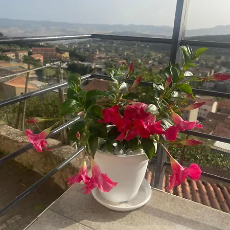 Crysas Assoro